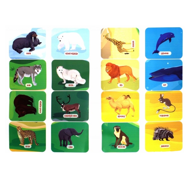 Книжка-плакат - Животные  