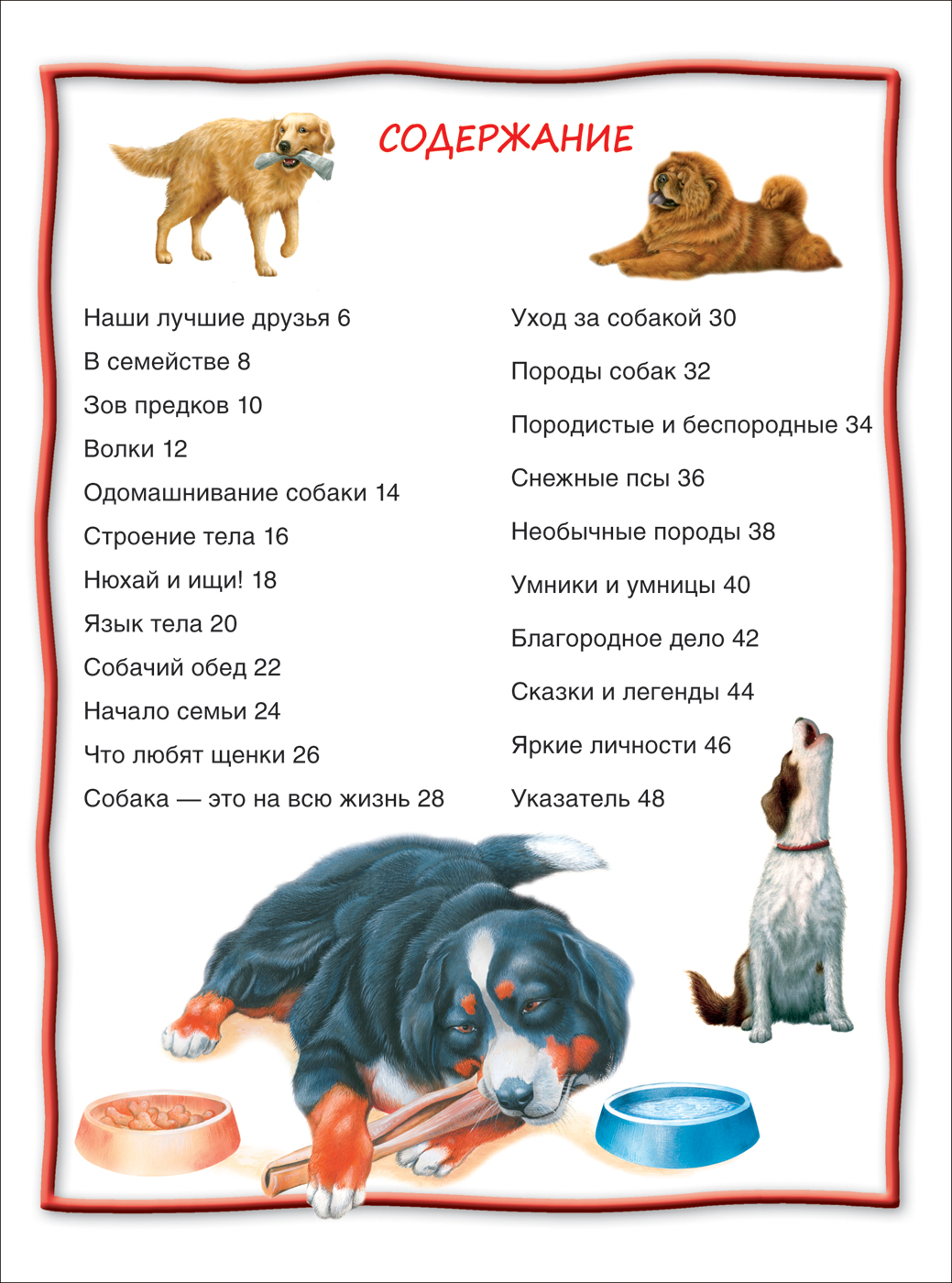 Энциклопедия для детей - Собаки и щенки, 100 фактов  