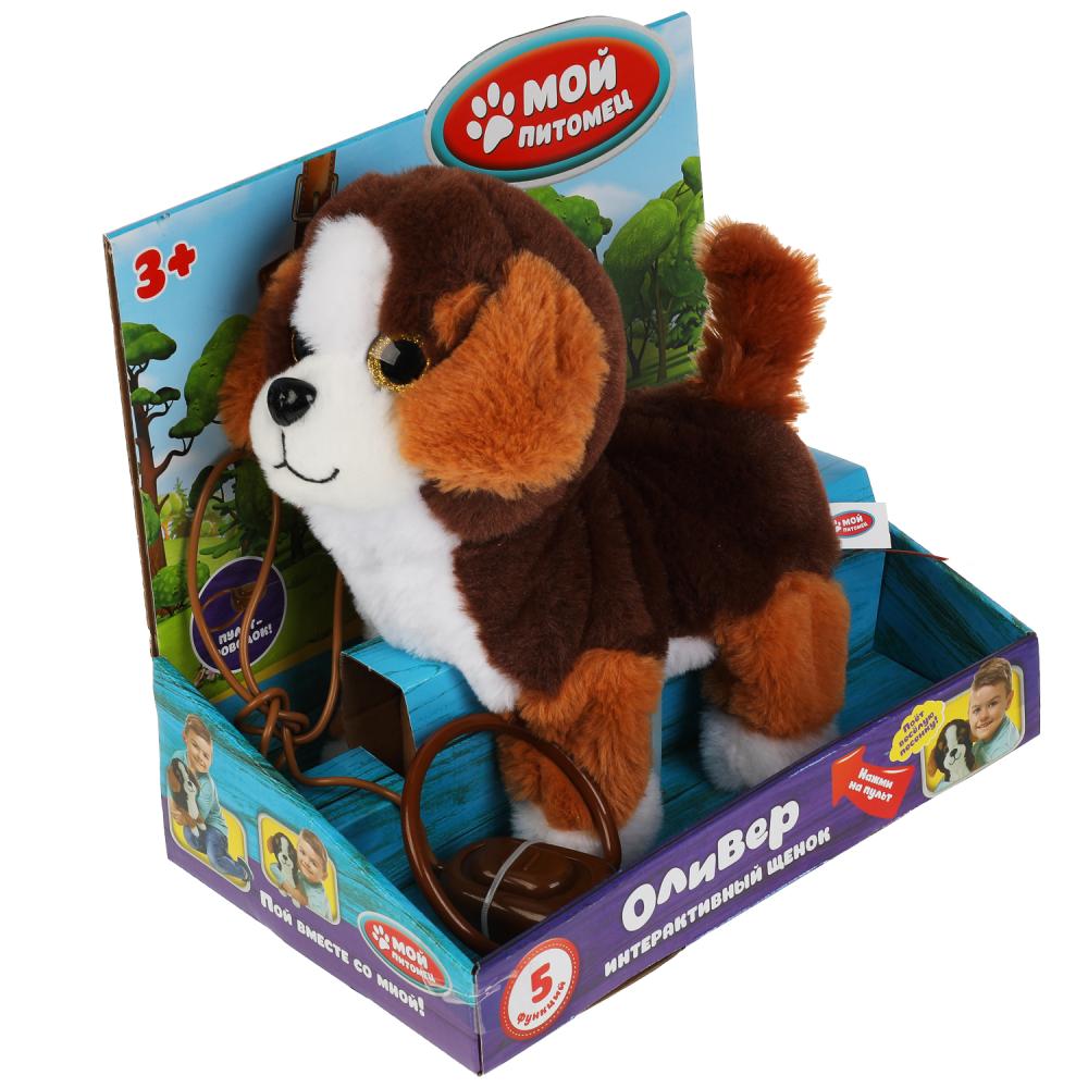 Щенок молли. Игрушка мой щенок. Мой питомец интерактивная игрушка. Игрушка мой щенок. Щенок ходит игрушка.