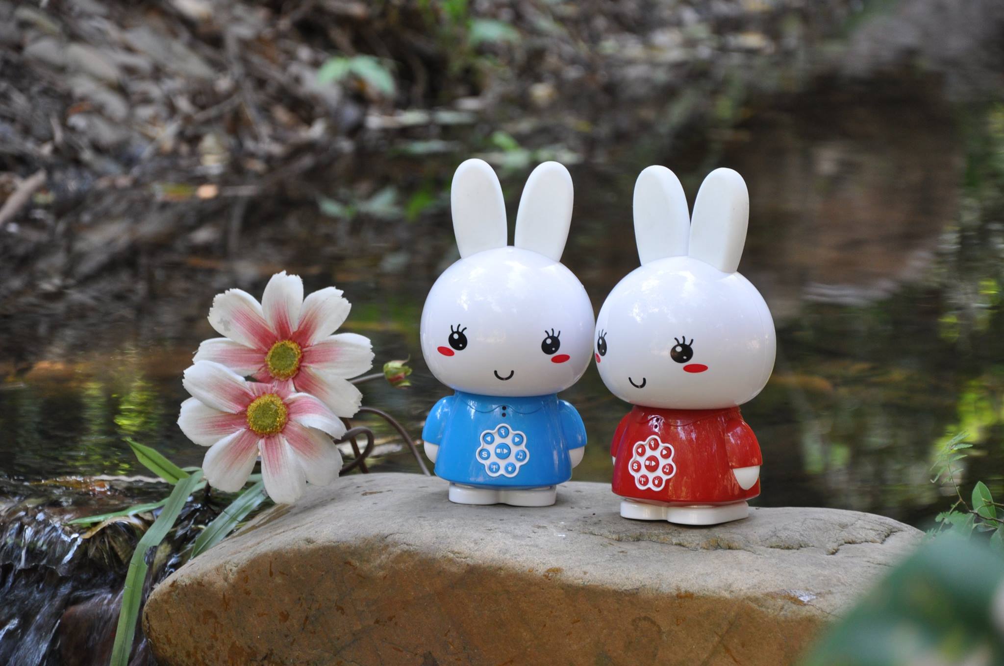 медовый зайчик алило. интерактивный медовый зайка mr-st702. медовый зайка g6. красный алило g6. медовый зайка alilo g6+.