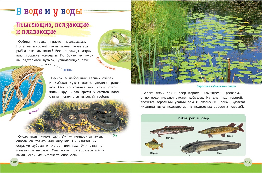 Современная энциклопедия дошкольника  