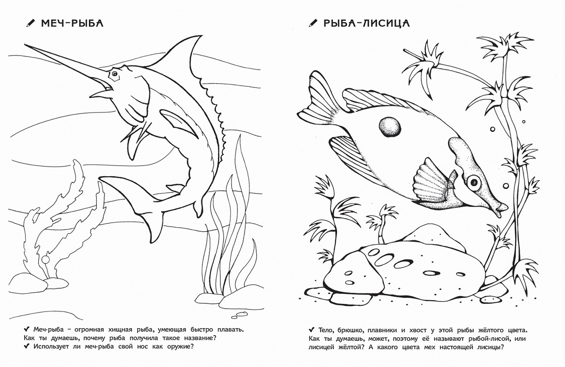 Раскраски для детского сада - Кто живет в воде  