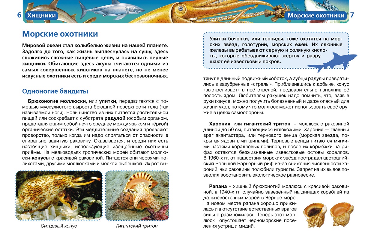Детская энциклопедия Росмэн - Хищники  