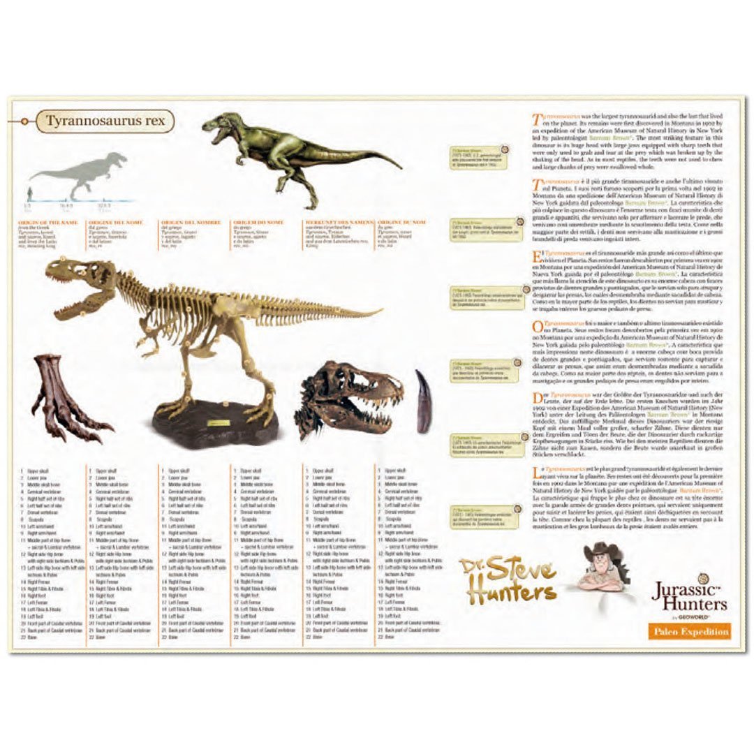 Набор из серии Dr.Steve Hunters - Палеоэкспедиция в поисках скелета Тираннозавра, 21 деталь  