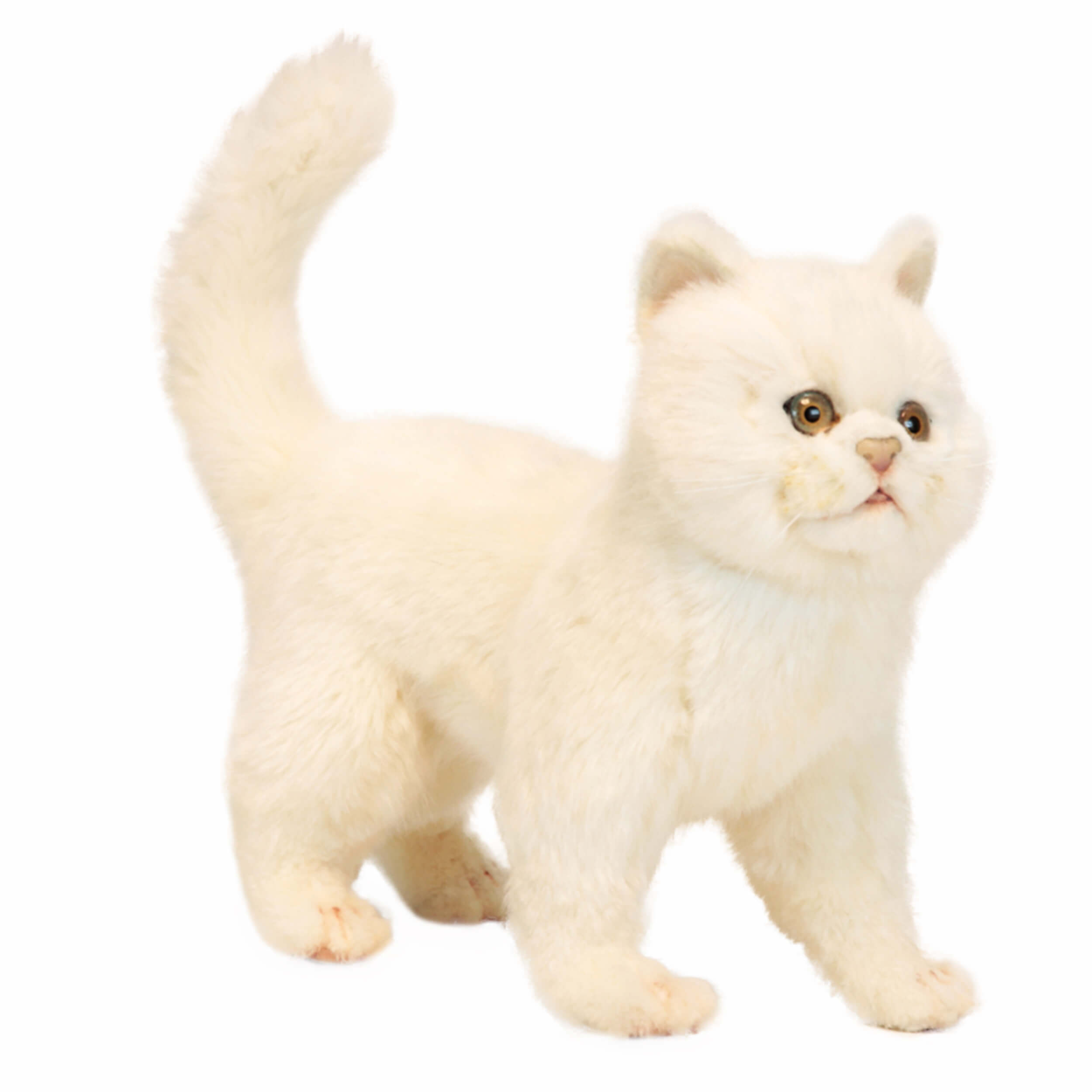 Купить кошку в калининграде. Игрушка кошка Ханса Ханса. Ханса игрушки кот белый. Реалистичная игрушка котенок Hansa. Мягкие игрушки Hansa котенок.