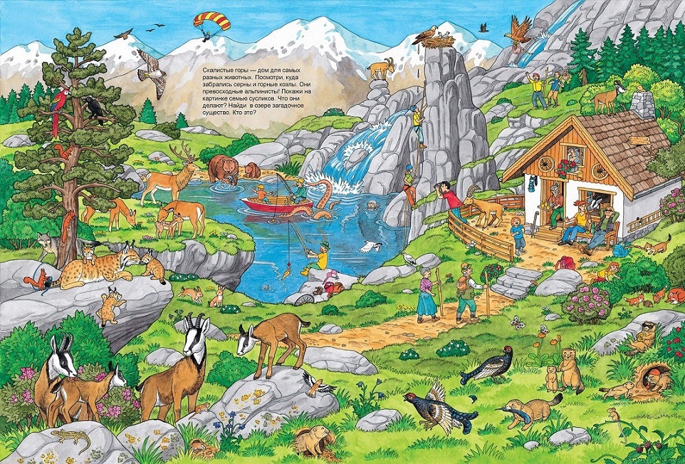 Книжка-Виммельбух - Жизнь животных  