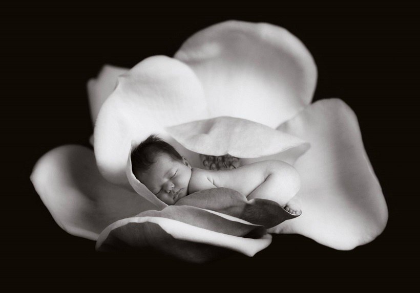 anne_geddes_4.jpg