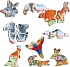 Пазл - Дикие животные Австралии, 60 деталей  - миниатюра №2