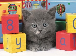 Пазл светящийся - Котенок с кубиками XXL, 200 деталей (Ravensburger, 13908)