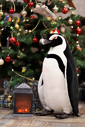 Мягкая игрушка - Африканский пингвин, 66 см 