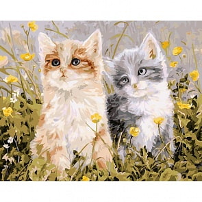 Раскраски по номерам - Славная парочка, 30 х 40 см (Белоснежка, 232-CE)