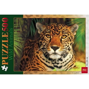 Пазлы 500 элементов – Леопард (Hatber, 500ПЗ2-01975)