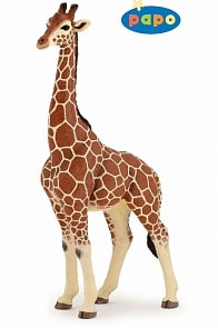 Фигурка - Жираф (Papo, 50149_papo)