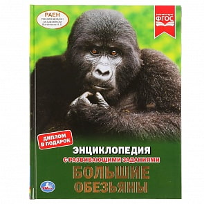 Энциклопедия с развивающими заданиями - Большие обезьяны, формат А4 (Умка, 978-5-506-04644-8)