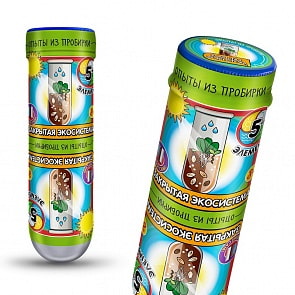 Набор для экспериментов Опыты из пробирки - Закрытая Экосистема (Дельта, 309пр)