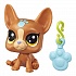 Littlest Pet Shop. Пет с предсказанием  - миниатюра №8