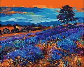 Раскраски по номерам - Картина «Лавандовые поля» (Белоснежка, 884-АВ)