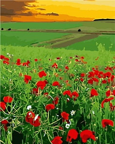 Роспись холста по номерам "Маки на лугу", Креатто, 40 х 50 см (Росмэн, 30159ros)