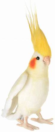 Мягкая игрушка – Австралийский попугай, 23 см 