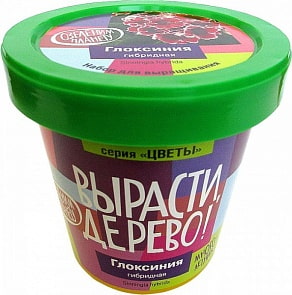 Набор для выращивания растений - Глоксиния гибридная (Зеленый Капитал, zk-067)