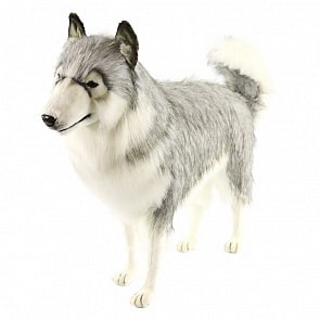 Мягкая игрушка – Хаски серый, 94 см (Hansa, 5047)