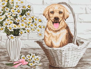 Рисование по номерам на холсте - Лабрадор, 40 х 50 (Фабрика Творчества, S047)
