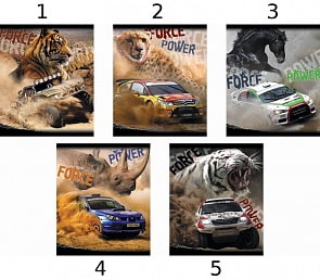 Тетрадь 48 листов КЛЕТКА «С характером зверя» (Полиграфика, 37562)