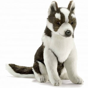 Мягкая игрушка – Щенок хаски, 25 см (Hansa, 5269)