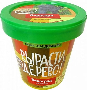 Набор для выращивания растений - Виноград Амурский (Зеленый Капитал, zk-057)