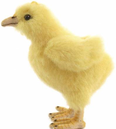 Мягкая игрушка – Цыпленок, 12 см 