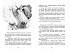 Книга из серии Чтение – лучшее учение А. Волков Волшебник Изумрудного города  - миниатюра №3