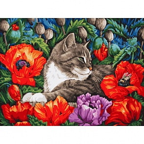 Раскраски по номерам Кот в маках, 30 х 40 см (Белоснежка, 183-AS)