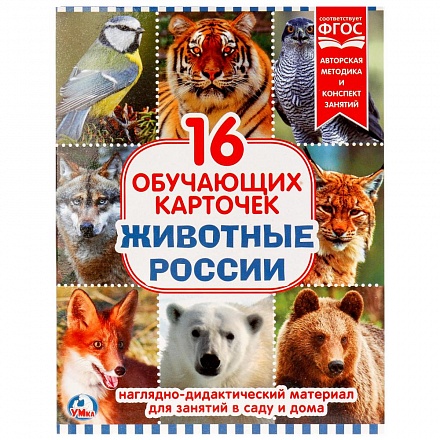 Карточки в папке – Животные России, 16 карточек 
