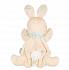 Мягкая игрушка из серии Друзья - Заяц комфортер, кукла на руку 30 см  - миниатюра №2