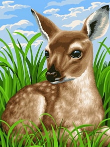 Рисование по номерам на холсте – Милый олененок, 40 х 50 (Фабрика Творчества, S056)