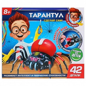 Набор из серии Школа ученого - Тарантул  (Играем вместе, ZY-208077-R)