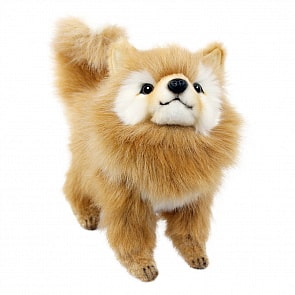 Мягкая игрушка - Померанский шпиц, 23 см (Hansa, 7591)