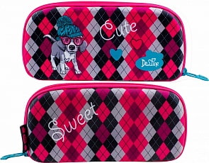 Пенал жесткий DeLune D-850 (Winner, D-850)