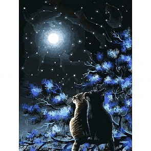 Раскраски по номерам. Созвездия (Белоснежка, 295-AS)