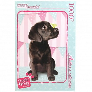 Пазлы – Мирна, 1000 деталей (Step Puzzle, 79540)