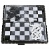 Шахматы магнитные 3 в 1: шахматы, шашки, нарды  - миниатюра №1