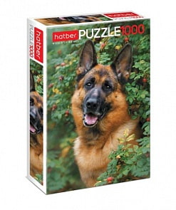Пазл Premium 1000 элементов – Верный друг (Hatber, 1000ПЗ2-21061)