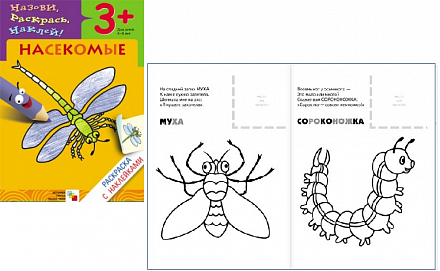 Раскраска с наклейками – Насекомые 