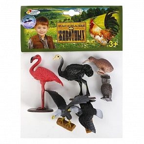Набор из 6-и птиц: дикие и домашние (Играем Вместе, PH151506A17sim)