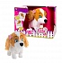 Club Petz. Интерактивная собака – Lola, младшая сестра Lucy, 5 команд  - миниатюра №1