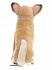 Мягкая игрушка - Собака породы Чихуахуа, 31 см.  - миниатюра №3