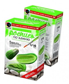 Набор для творчества №10. Роспись по камню " огурец, зелёный лук, салат" (Фантазер, 394010) 