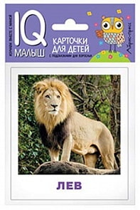 Набор карточек для детей – Умный малыш. Животные жарких стран (Айрис-пресс, 25764АП)
