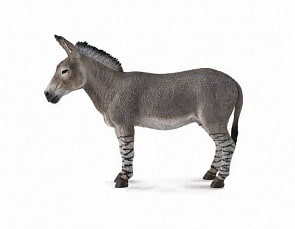 Фигурка Gulliver Collecta - Дикий африканский осел, L (Collecta, 88664b)