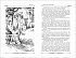 Книга из серии Большая детская библиотека – Твен М. Приключения Тома Сойера и Гекльберри Финна  - миниатюра №2